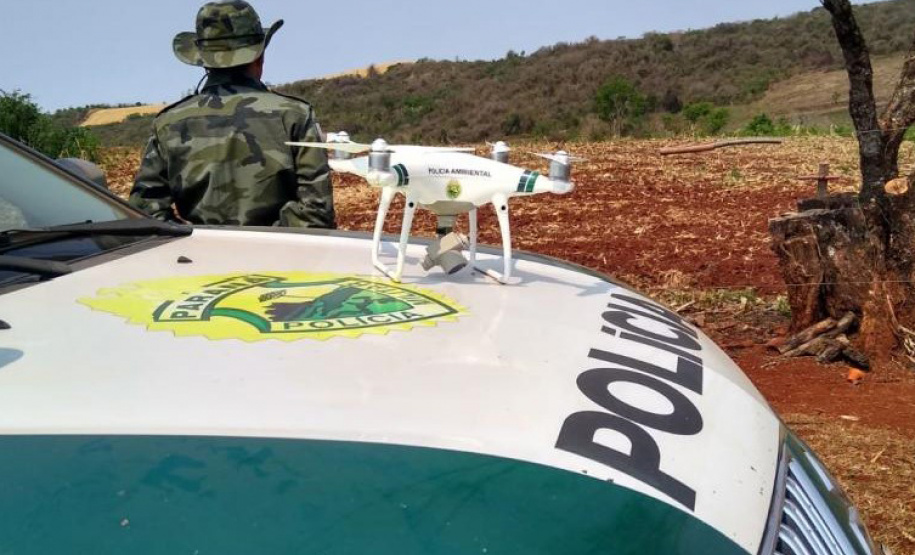 Operação Mata Atlântica em Pé aplicou R$ 15,6 milhões em multas por desmatamento ilegal . Foto: SESP