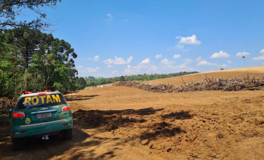Operação Mata Atlântica em Pé aplicou R$ 15,6 milhões em multas por desmatamento ilegal . Foto: SESP