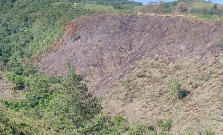 Operação Mata Atlântica em Pé aplicou R$ 15,6 milhões em multas por desmatamento ilegal . Foto: SESP
