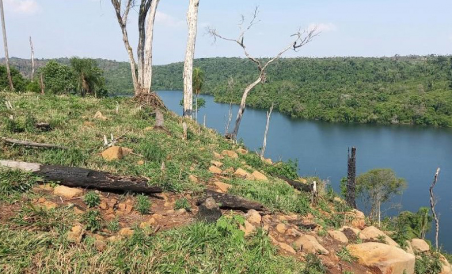 Operação Mata Atlântica em Pé aplicou R$ 15,6 milhões em multas por desmatamento ilegal . Foto: SESP