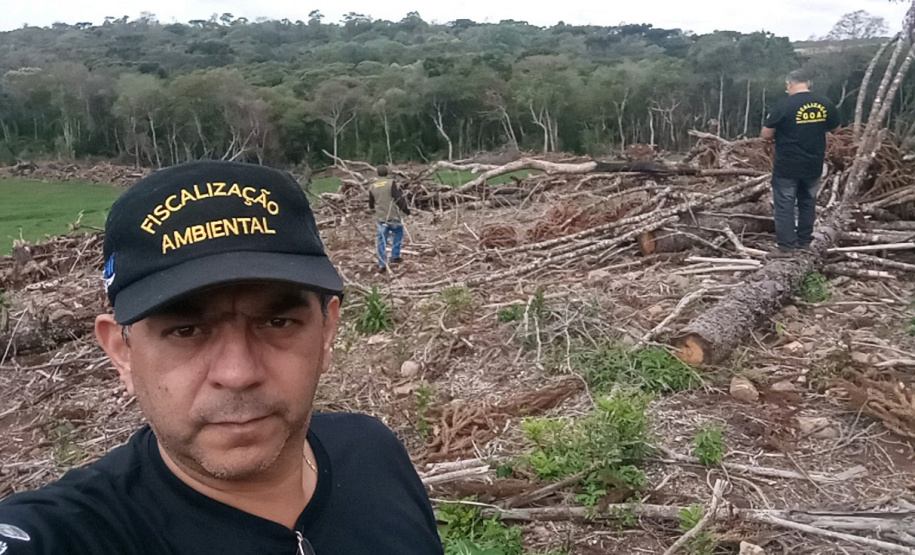 Operação Mata Atlântica em Pé aplicou R$ 15,6 milhões em multas por desmatamento ilegal . Foto: IAT