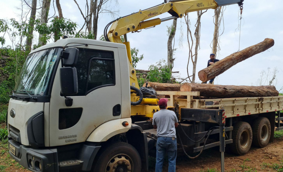 Operação Mata Atlântica em Pé aplicou R$ 15,6 milhões em multas por desmatamento ilegal . Foto: IAT