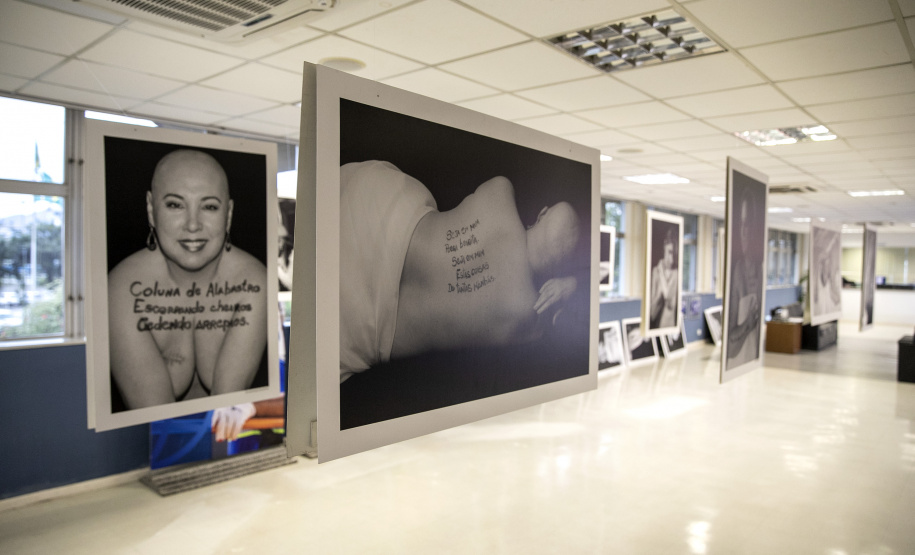 Portos do Paraná promove conscientização sobre o câncer de mama no Outubro Rosa. Foto: Claudio Neves/Portos do Paraná