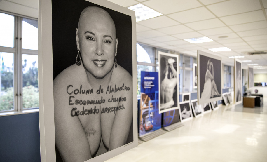 Portos do Paraná promove conscientização sobre o câncer de mama no Outubro Rosa. Foto: Claudio Neves/Portos do Paraná