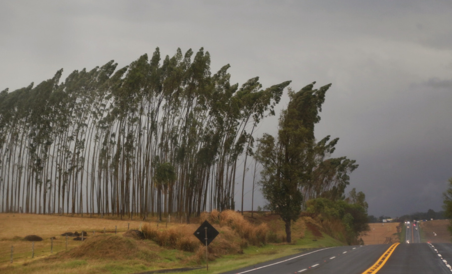 Diferente de setembro, novo mês começa com chuva no Paraná, que deverá permanecer no final de semana. Foto: Gilson Abreu/AEN