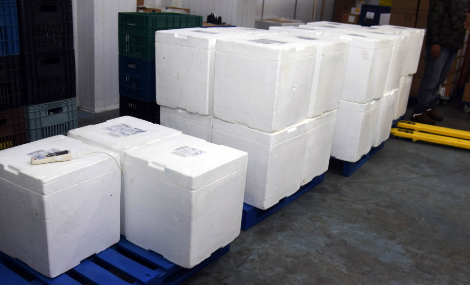 O Paraná recebeu mais 176.670 vacinas da Pfizer/BioNTech contra a Covid-19 neste sábado (2). - Curitiba, 02/10/2021 - Foto: Américo Antonio/SESA