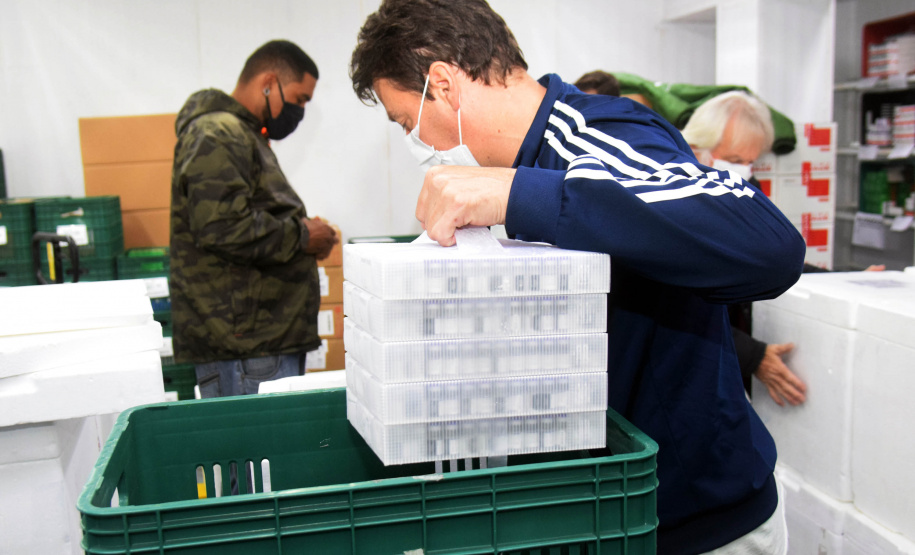 O Paraná recebeu mais 176.670 vacinas da Pfizer/BioNTech contra a Covid-19 neste sábado (2). - Curitiba, 02/10/2021 - Foto: Américo Antonio/SESA