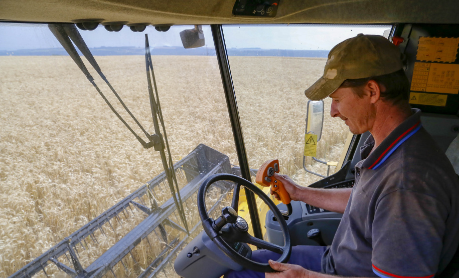 31.09.2021 - Plantação de trigo, região de Tibagi/Pr
Foto Gilson Abreu/AEN