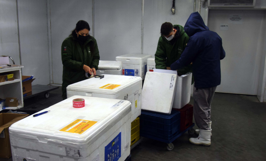 Saúde distribui primeiras vacinas para reforço de idosos acima de 60 anos e trabalhadores da saúde e anuncia chegada de novos lotes dos imunizantes . Foto: Américo Antonio/SESA