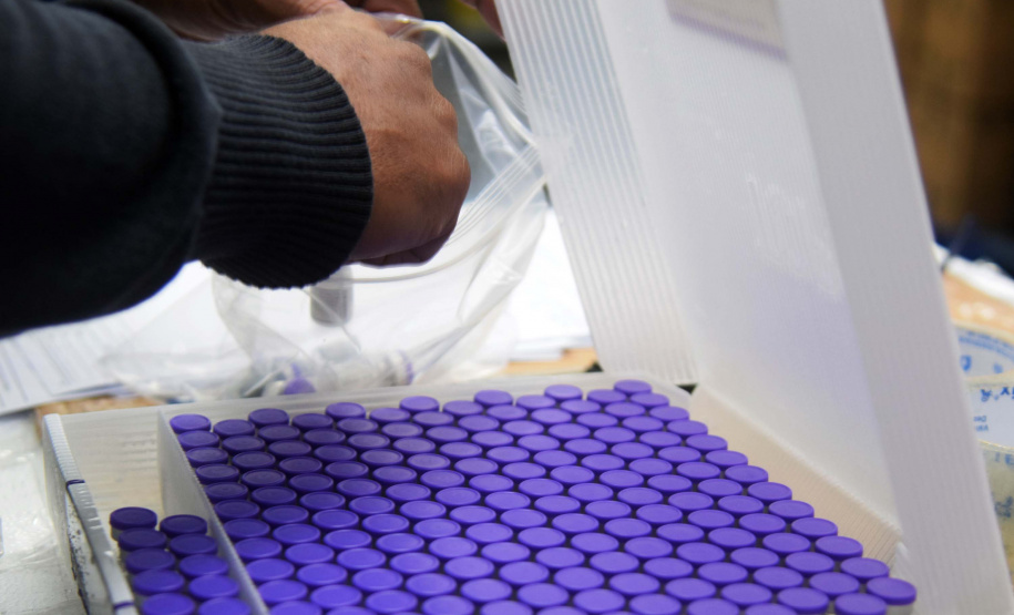 Saúde distribui primeiras vacinas para reforço de idosos acima de 60 anos e trabalhadores da saúde e anuncia chegada de novos lotes dos imunizantes . Foto: Américo Antonio/SESA