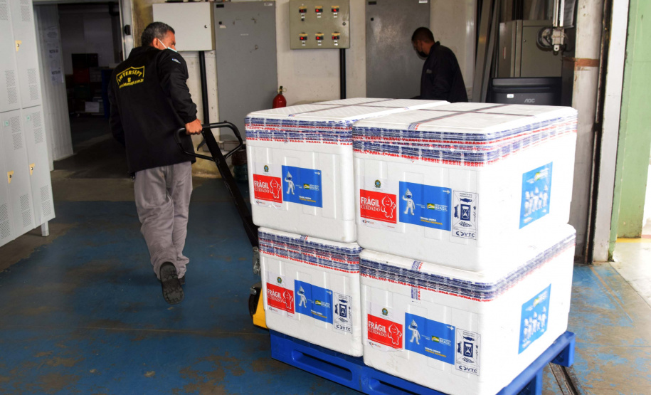 As 344.210 doses da vacina contra a Covid-19 referentes à 56ª pauta de distribuição do Ministério da Saúde chegaram ao Paraná nesta terça-feira (5). Foto: Américo Antonio/SESA