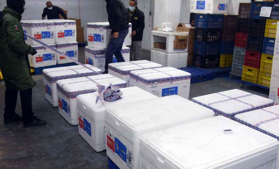 As 344.210 doses da vacina contra a Covid-19 referentes à 56ª pauta de distribuição do Ministério da Saúde chegaram ao Paraná nesta terça-feira (5). Foto: Américo Antonio/SESA