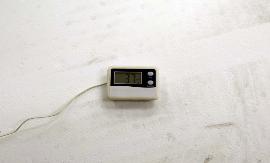 As 344.210 doses da vacina contra a Covid-19 referentes à 56ª pauta de distribuição do Ministério da Saúde chegaram ao Paraná nesta terça-feira (5). Foto: Américo Antonio/SESA