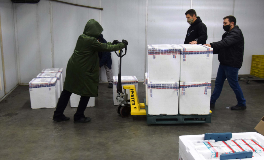 As 344.210 doses da vacina contra a Covid-19 referentes à 56ª pauta de distribuição do Ministério da Saúde chegaram ao Paraná nesta terça-feira (5). Foto: Américo Antonio/SESA
