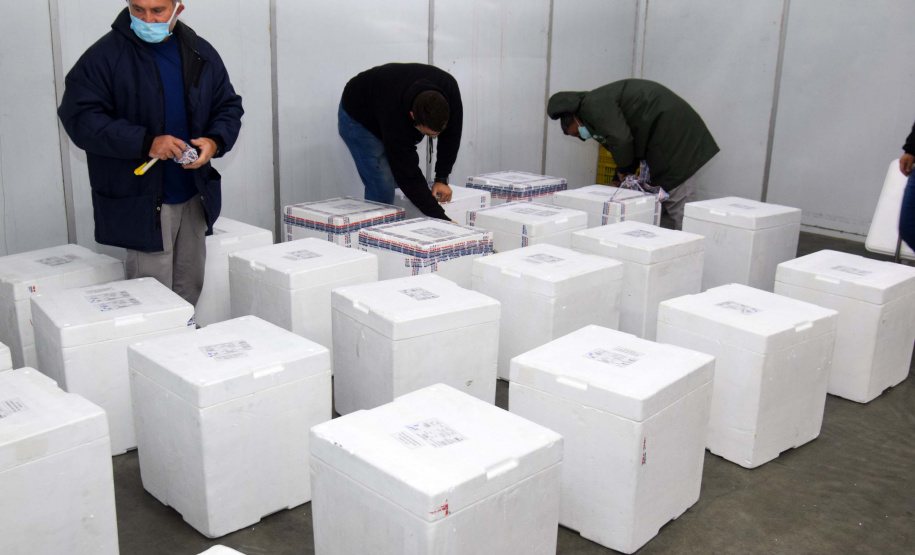 As 344.210 doses da vacina contra a Covid-19 referentes à 56ª pauta de distribuição do Ministério da Saúde chegaram ao Paraná nesta terça-feira (5). Foto: Américo Antonio/SESA