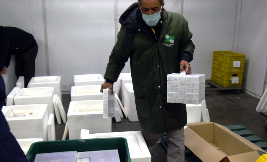 As 344.210 doses da vacina contra a Covid-19 referentes à 56ª pauta de distribuição do Ministério da Saúde chegaram ao Paraná nesta terça-feira (5). Foto: Américo Antonio/SESA