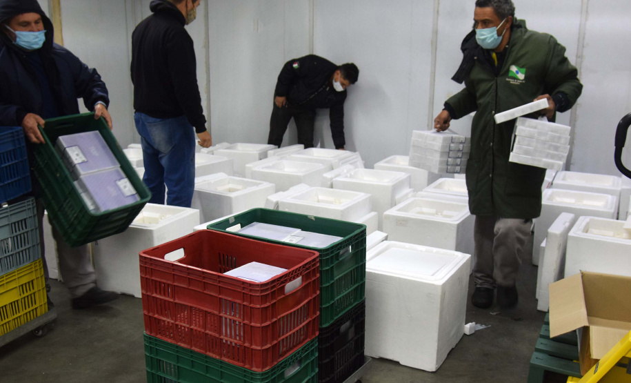 As 344.210 doses da vacina contra a Covid-19 referentes à 56ª pauta de distribuição do Ministério da Saúde chegaram ao Paraná nesta terça-feira (5). Foto: Américo Antonio/SESA