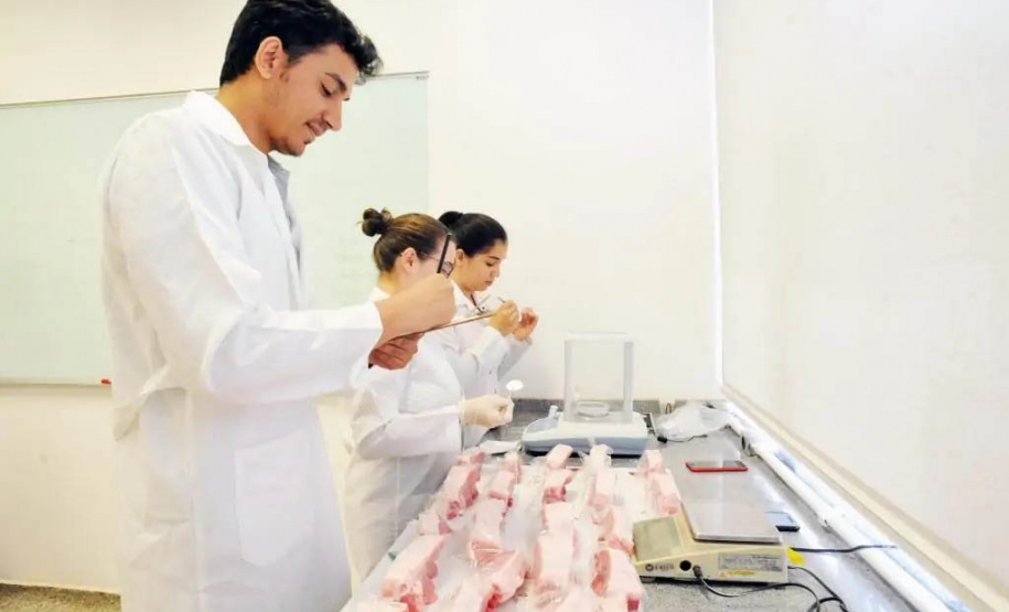 As Universidades Estaduais do Paraná possuem 231 cientistas relacionados no AD Scientific Index Ranking 2021, publicação que classifica em lista os 10 mil pesquisadores mais influentes da América Latina. -  Curitiba, 06/10/2021  -  Foto: SETI