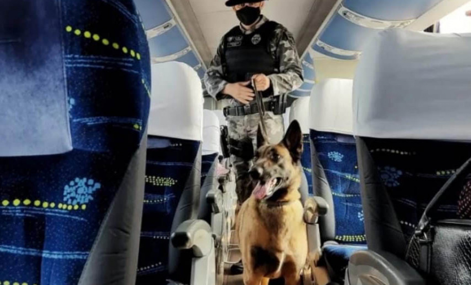 Secretários de estado da segurança pública reúnem-se para avaliação da operação Fronteiras e Divisas Integradas I - Curitiba, 06/10/2021 - Foto: SESP-PR