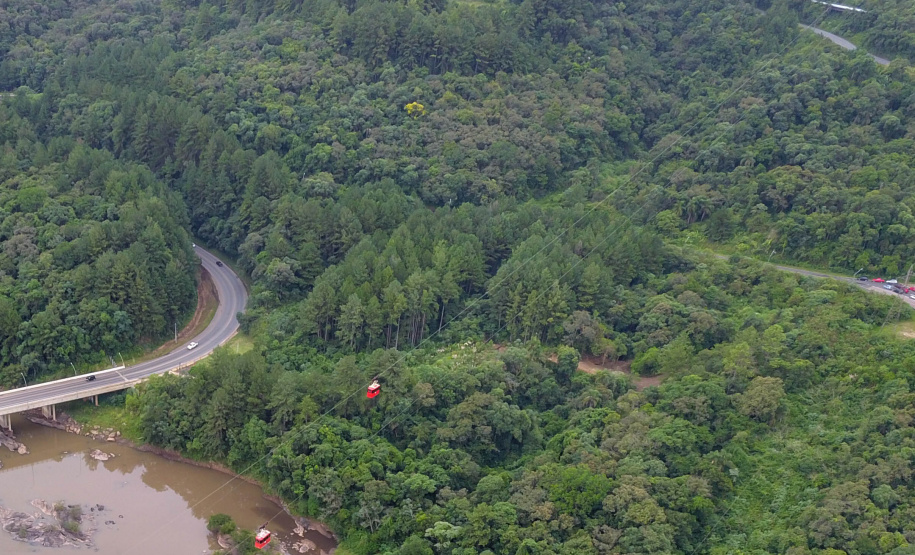 Paraná é o segundo maior produtor florestal do País, segundo IBGE
. Na foto, Telêmaco Borba. Foto: José Fernando Ogura/AEN