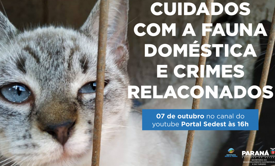 Duas lives, nesta quinta e sexta-feira (07 e 08) destacam os cuidados e a criminalização aos animais domésticos e silvestres no Estado do Paraná. As lives começam às 16 horas, transmitidas ao vivo pelo Canal do Youtube da Secretaria do Desenvolvimento Sustentável e do Turismo (Sedest). - Foto: SEDEST