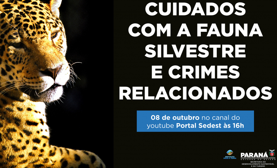 Duas lives, nesta quinta e sexta-feira (07 e 08) destacam os cuidados e a criminalização aos animais domésticos e silvestres no Estado do Paraná. As lives começam às 16 horas, transmitidas ao vivo pelo Canal do Youtube da Secretaria do Desenvolvimento Sustentável e do Turismo (Sedest). - Foto: SEDEST