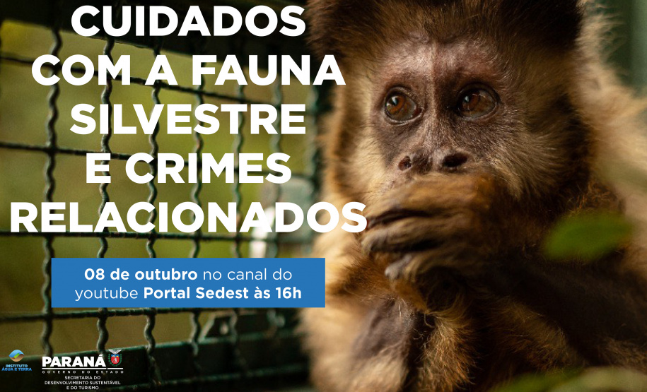 Duas lives, nesta quinta e sexta-feira (07 e 08) destacam os cuidados e a criminalização aos animais domésticos e silvestres no Estado do Paraná. As lives começam às 16 horas, transmitidas ao vivo pelo Canal do Youtube da Secretaria do Desenvolvimento Sustentável e do Turismo (Sedest). - Foto: SEDEST
