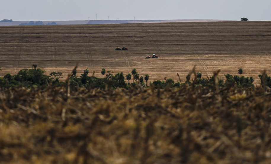Chuvas retornam ao Estado e oferecem melhores condições de plantio, diz boletim do Deral - Foto : Jonathan Campos / AEN