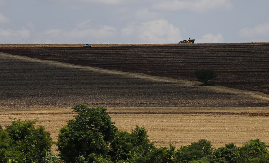Chuvas retornam ao Estado e oferecem melhores condições de plantio, diz boletim do Deral - Foto : Jonathan Campos / AEN