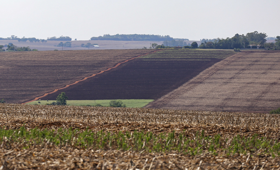 Chuvas retornam ao Estado e oferecem melhores condições de plantio, diz boletim do Deral - Foto : Jonathan Campos / AEN