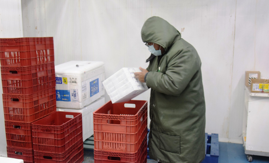 Paraná recebe 124.020 vacinas contra a Covid-19 nesta quinta Foto: Américo Antonio/SESA