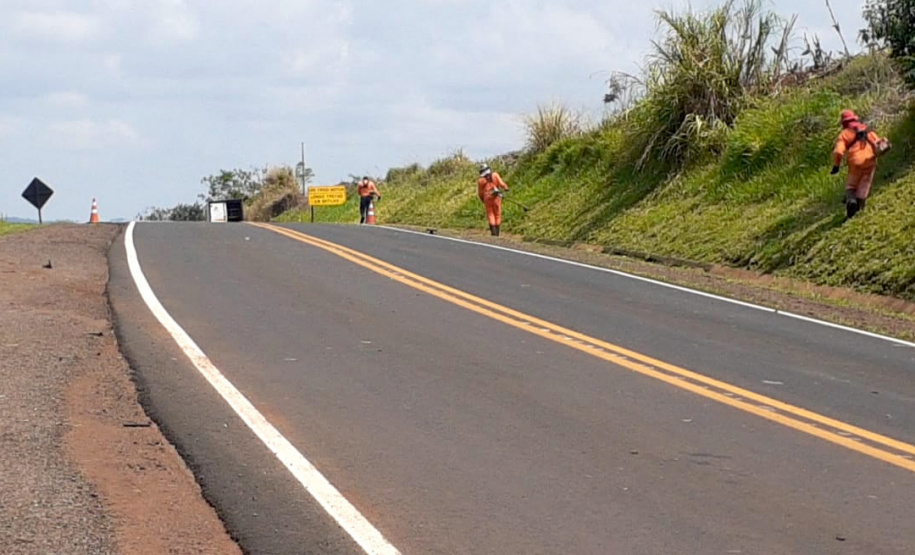 Serviços de conservação na PR-170 entre Apucarana e Borrazópolis, no Vale do Ivaí - conhecida como Rodovia do Milho. - Curitiba, 08/10/2021 - foto: DER-PR
