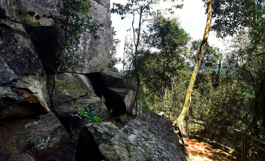 IAT autoriza reabertura de Unidades de Conservação que permaneciam com restrições. Foto: Denis Ferreira Natto/Arquivo SEDEST