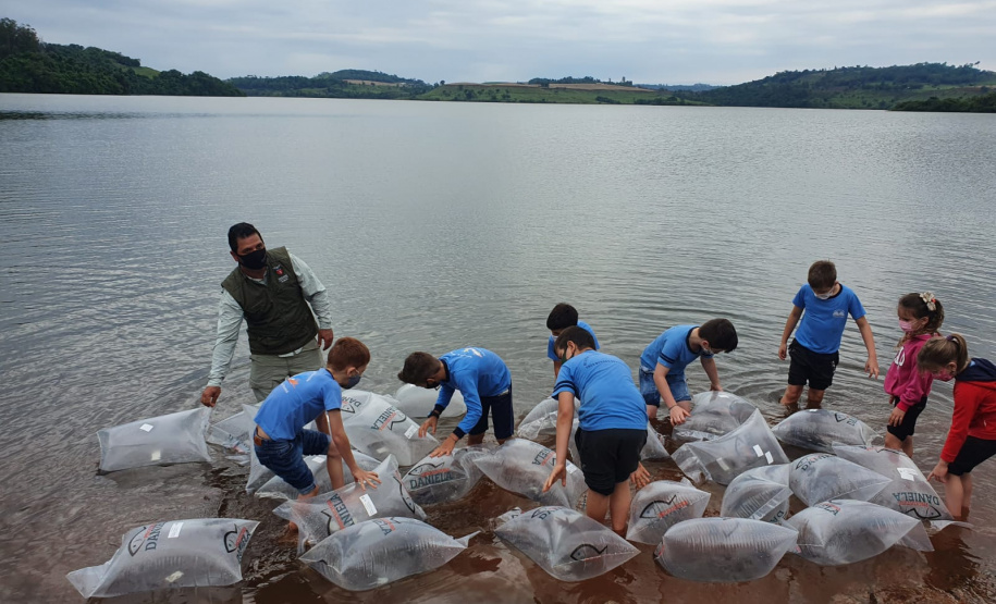Rio Iguaçu recebe mais 310 mil peixes nativos juvenis. Foto: SEDEST