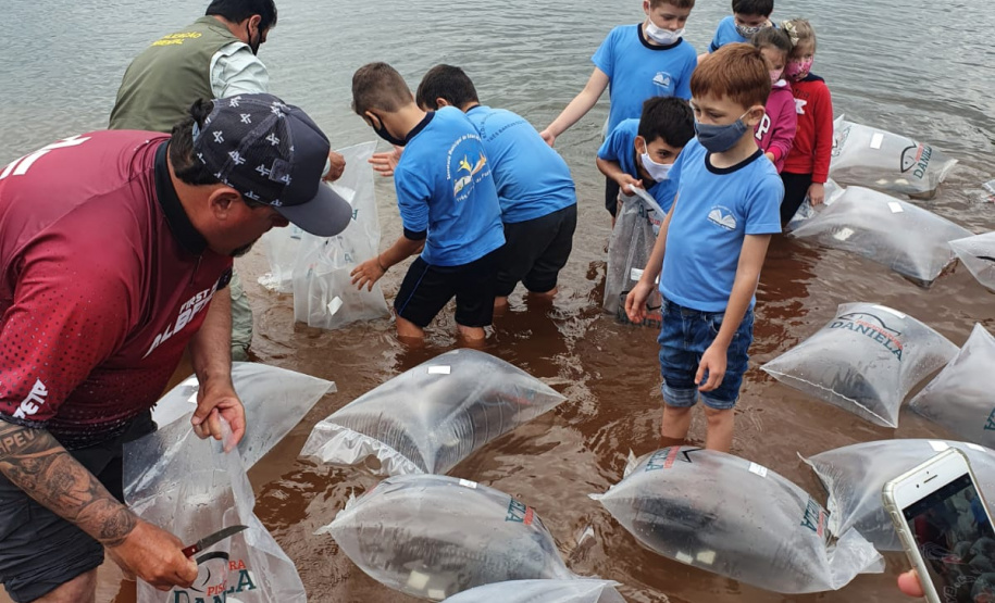 Rio Iguaçu recebe mais 310 mil peixes nativos juvenis. Foto: SEDEST