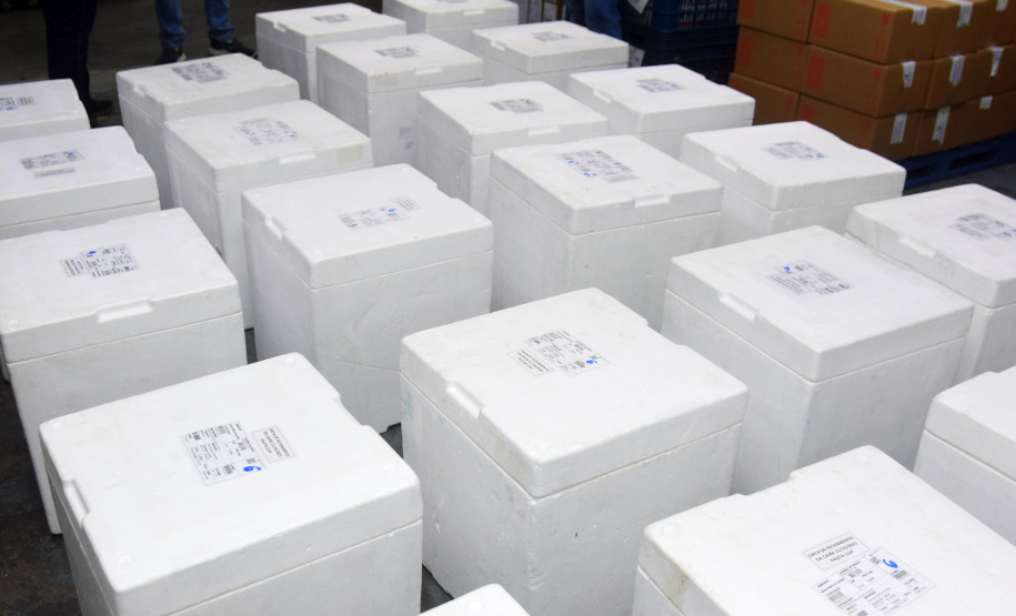 Paraná recebe mais 154.440 vacinas contra a Covid-19 nesta segunda. Foto: Américo Antonio/SESA