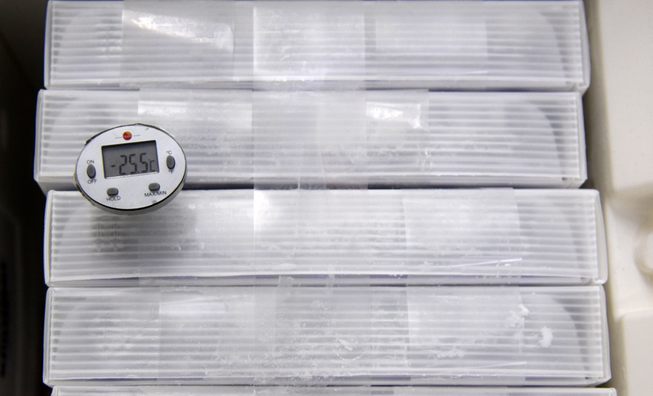 Paraná recebe mais 154.440 vacinas contra a Covid-19 nesta segunda. Foto: Américo Antonio/SESA