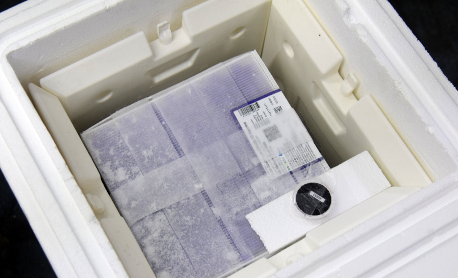 Paraná recebe mais 154.440 vacinas contra a Covid-19 nesta segunda. Foto: Américo Antonio/SESA