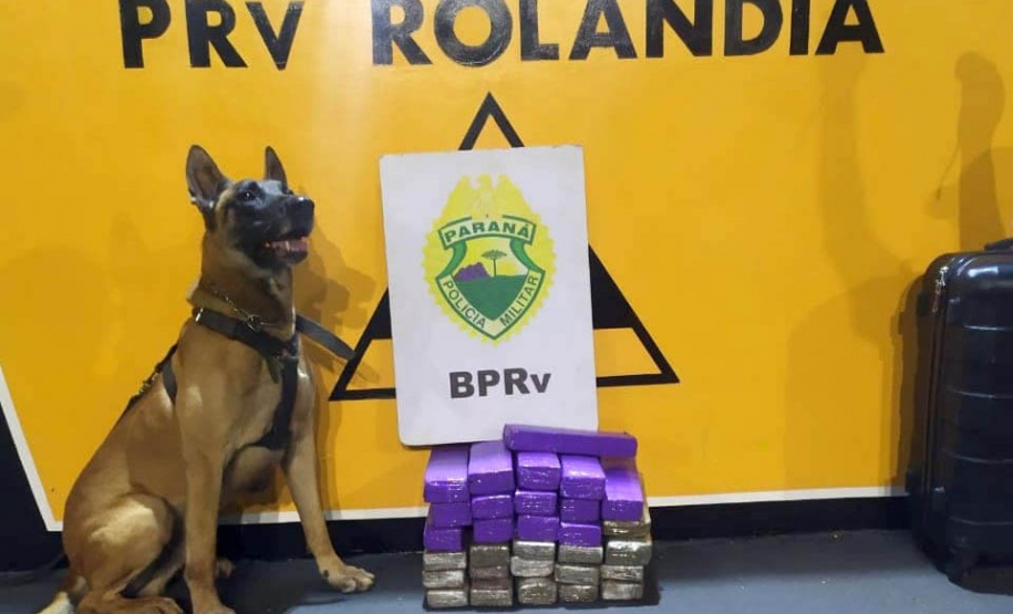 Apreensões de drogas e excesso de velocidade nas rodovias estaduais marcam feriado da Padroeira no Paraná - Curitiba, 13/10/2021 - Foto: BPRv