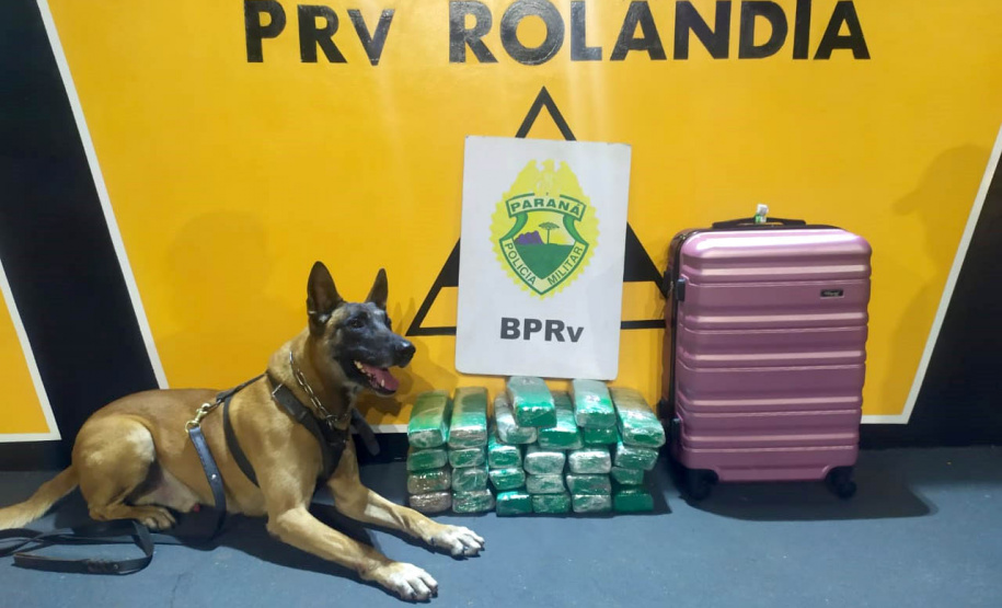 Apreensões de drogas e excesso de velocidade nas rodovias estaduais marcam feriado da Padroeira no Paraná - Curitiba, 13/10/2021 - Foto: BPRv