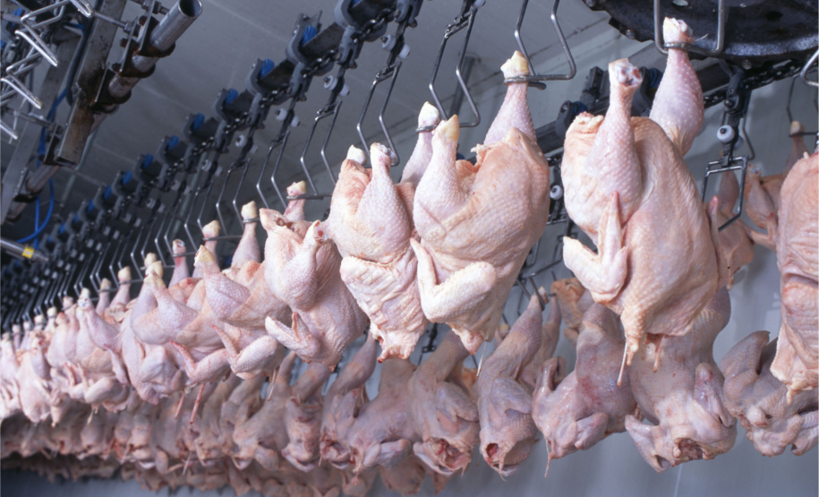 Abate Halal  -  Foto: Divulgação/SEAB