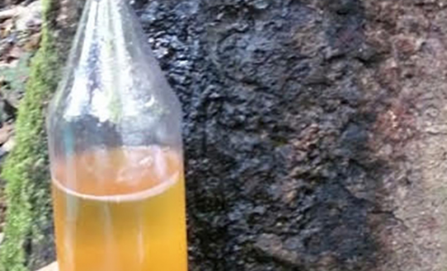 Antibiótico desenvolvido com óleo de copaíba apresenta menor toxicidade para o paciente. Foto: UEL