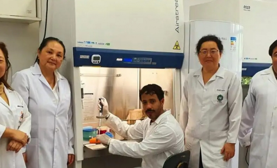 UEL: Antibiótico desenvolvido com óleo de copaíba apresenta menor toxicidade para o paciente; Foto: Uel