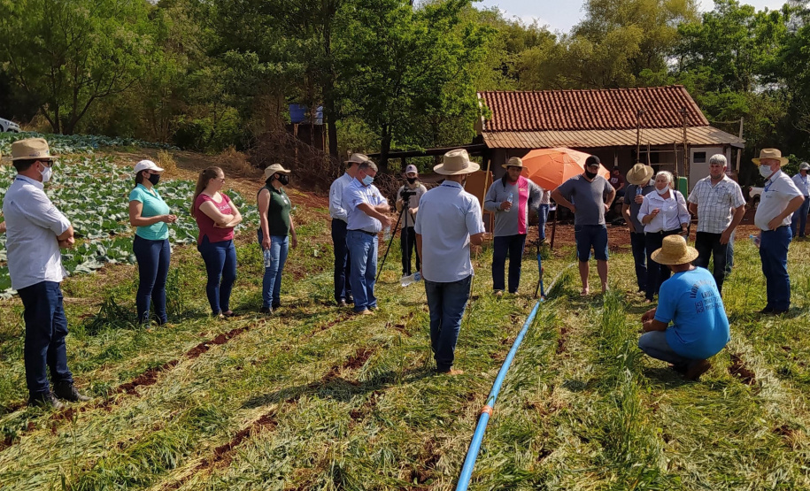 Difundir tecnologias sustentáveis para a produção agrícola é um dos propósitos do IDR-Paraná (Instituto de Desenvolvimento Rural do Paraná - Iapar-Emater). O Sistema de Plantio Direto de Hortaliças (SPDH) é uma dessas práticas que vêm sendo levadas aos agricultores. Na região de Cascavel um dia de campo mostrou aos olericultores as vantagens e soluções para problemas surgidos durante implementação do sistema. - Curitiba, 14/10/2021 - Foto: IDR-PR