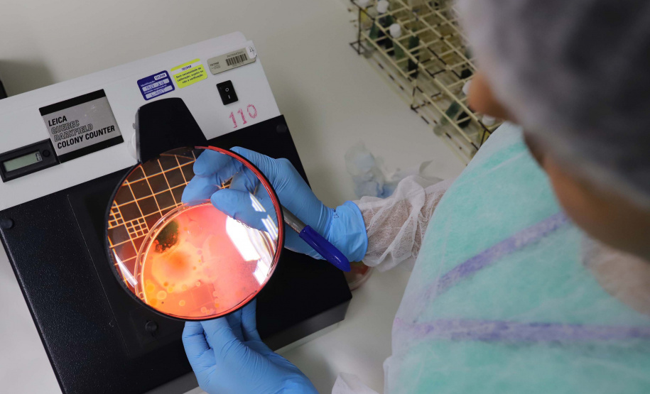 O Instituto de Tecnologia do Paraná (Tecpar) e o Sistema Fiep, parceiros na elaboraçãodo Roadmap Biotecnologia 2031, no segmento da saúde, realizaram a primeira reuniãode Articulação da Rota Estratégica nesta quinta-feira (14). - Na foto,  Laboratório de Microbiologia - Alimentos e Água - análise de amostras.Curitiba, 02-09-19.Foto: Arnaldo Alves/Arquivo AEN