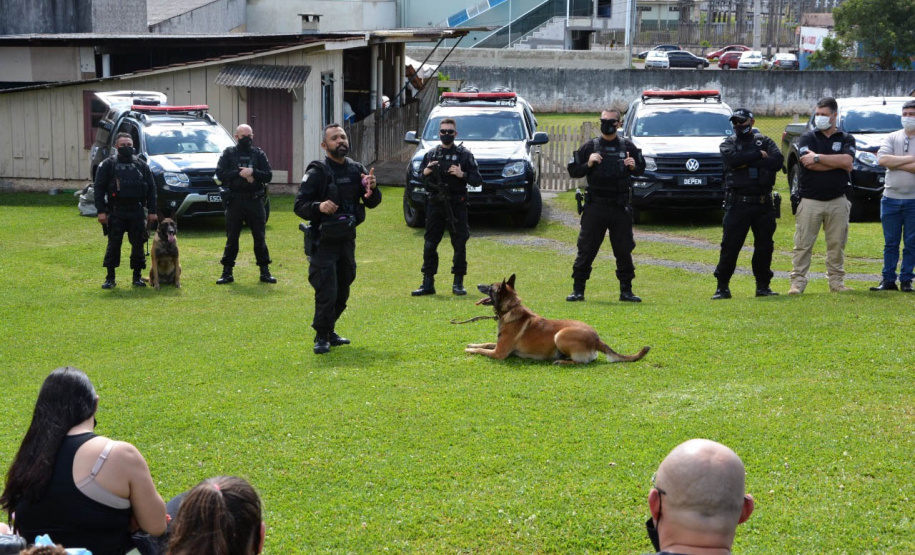 Servidores do Departamento Penitenciário do Paraná organizaram uma campanha para arrecadação de doces e brinquedos que foram entregues nesta quarta-feira (13), a crianças do Centro Municipal de Educação Infantil Ana Maria, em Piraquara, na Região Metropolitana de Curitiba. Além dos presentes, uma apresentação com cães que atuam no sistema prisional alegrou a tarde da criançada.  -  Curitiba, 14/10/2021 - Foto: DEPEN/PR