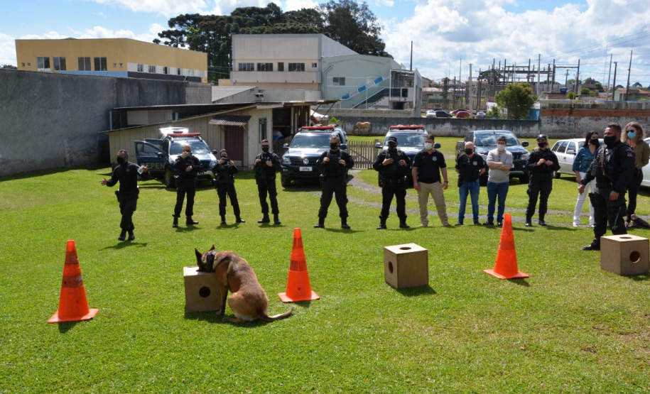 Servidores do Departamento Penitenciário do Paraná organizaram uma campanha para arrecadação de doces e brinquedos que foram entregues nesta quarta-feira (13), a crianças do Centro Municipal de Educação Infantil Ana Maria, em Piraquara, na Região Metropolitana de Curitiba. Além dos presentes, uma apresentação com cães que atuam no sistema prisional alegrou a tarde da criançada.  -  Curitiba, 14/10/2021 - Foto: DEPEN/PR