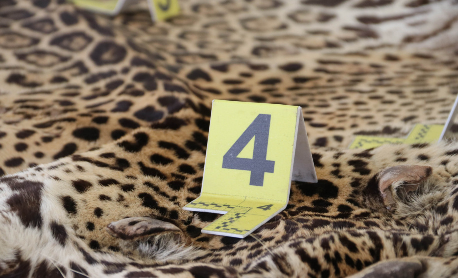 A Seção de Crimes Ambientais, vinculada ao Instituto de Criminalística da Polícia Científica do Paraná, desde a sua criação, em dezembro de 2019, tem atuado com peritos criminais, especialistas na área, com intuito de comprovar a prática de condutas criminosas contra a fauna, a flora e à natureza no geral. - Curitiba, 14/10/2021 - Foto: SESP-PR