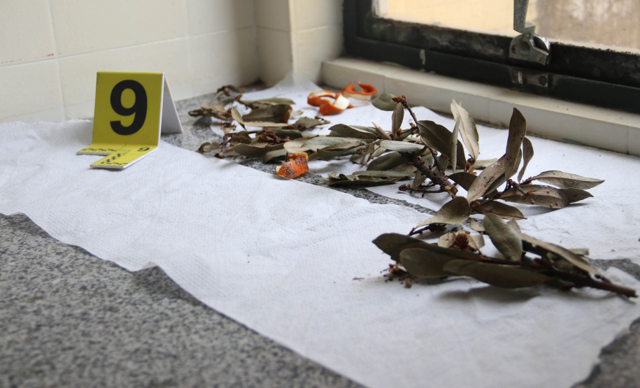 A Seção de Crimes Ambientais, vinculada ao Instituto de Criminalística da Polícia Científica do Paraná, desde a sua criação, em dezembro de 2019, tem atuado com peritos criminais, especialistas na área, com intuito de comprovar a prática de condutas criminosas contra a fauna, a flora e à natureza no geral. - Curitiba, 14/10/2021 - Foto: SESP-PR