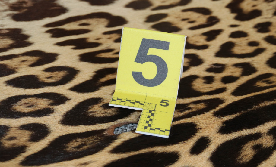 A Seção de Crimes Ambientais, vinculada ao Instituto de Criminalística da Polícia Científica do Paraná, desde a sua criação, em dezembro de 2019, tem atuado com peritos criminais, especialistas na área, com intuito de comprovar a prática de condutas criminosas contra a fauna, a flora e à natureza no geral. - Curitiba, 14/10/2021 - Foto: SESP-PR